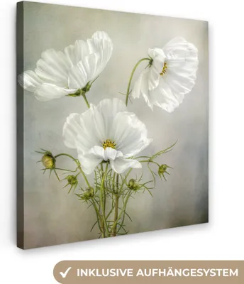 Produktbild von MuchoWow® - Leinwandbilder - Blumen - Stillleben - Mohn - Weiß - Botanisch, Wandbild, Wanddeko Bilder Wohnzimmer, 20x20 cm