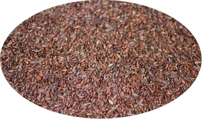 Image de Eder Gewürze - Graines de Plantago ovata - 1 kg
