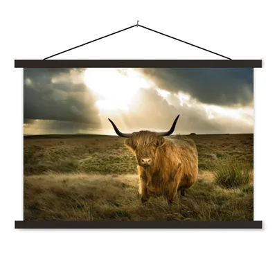 Produktbild von MuchoWow® Textilposter Schottischer Hochländer - Sonne - Tiere 120x80 cm mit schwarzem Rahmen - Wanddeko