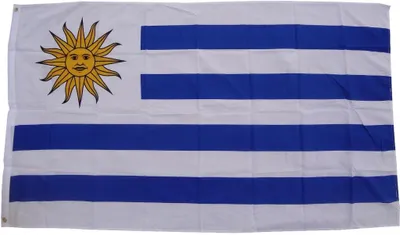 Immagine prodotto di Bandiera XXL Uruguay 250 x 150 cm con 3 occhielli Peso del tessuto 100g/m² asta per issare la bandiera
