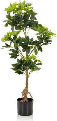 Produktbild von bümö plants Kunstpflanze Strahlenaralie (Schefflera)