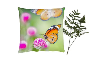 Produktbild von MuchoWow® Zierkissen Sofakissen Wohnzimmer Dekokissen 60x60 cm Insekten - Schmetterlinge - Blumen - Sitzfläche - Foto Polster