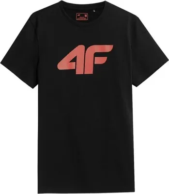 Produktbild von 4F Tshirts TSM353, H4L22TSM353CZARNY, Größe: 179