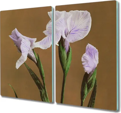 Produktbild von Coloray Hackbrett Kochplattenabdeckung Herdabdeckplatte 2x30x52 cm Schneidebrett Küchenbrett - Blumen Pflanzen