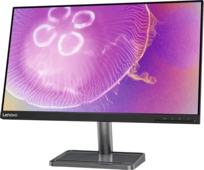 Produktbild von Lenovo L24q-35