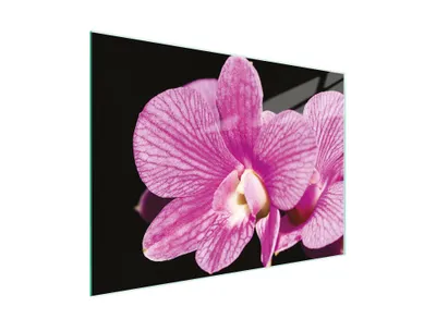 Immagine prodotto di Tagliere Piastra copriforno Tagliere multiglass 30x22 cm Orchidea Viola