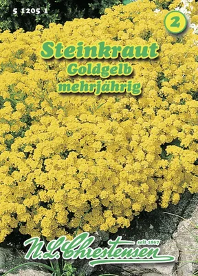 Produktbild von Steinkraut Goldkörbchen | Steinkrautsamen von N.L. Chrestensen