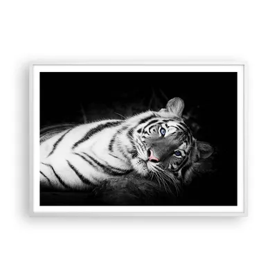 Produktbild von Gerahmtes Poster - Weißer Rahmen - Weiß Tiger Schwarz und Weiß - 100x70 cm - Wand Bild - Wanddeko - Wandbilder - Wandposter - Bilderrahmen - Bilder - Kunstdruck - Wandbild - P2WAA100x70-4247
