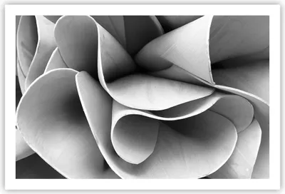 Produktbild von Poster - Poster ohne Rahmen - Material Ornament Stück - 91,5x61 cm - Wand Bild - Wanddeko - Wandbilder - Kunstposter - Wandposter - Bilder - Kunstdruck - Wanddekoration - Wandbild - P2XAA91x61-4993