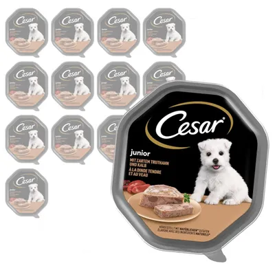 Produktbild von Cesar Junior 14x150g Complete Wet Food For Puppies with Turkey and Veal in Pate