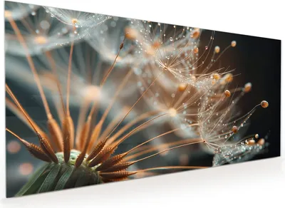 Produktbild von Küchenrückwand Spritzschutz Glas mit Motiv Pusteblumenperlen 40 x 40 cm