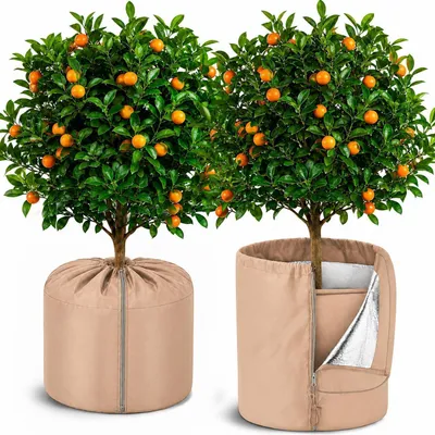 Image de Protection thermique pour plantes en pot, pour l'hiver, dimensions 70x65 cm, lot de 2, couleur marron
