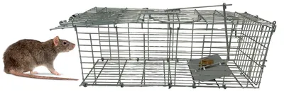 Lebendfalle für Ratten und Mäuse XXL, Stahl, 41x13x4 cm