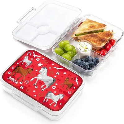 Immagine prodotto di Contenitore per alimenti Famanu per bambini - senza BPA e a prova di perdite - lunchbox con scomparti - ideale per l'asilo e la scuola - 850 ml