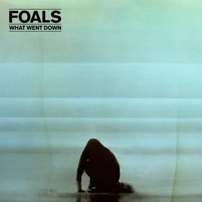 Productafbeelding van Foals - What Went Down