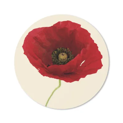 Produktbild von MuchoWow® Mauspad Mousepad Nahaufnahme einer roten Mohnblume 20x20 cm - Mousepads - Maus Mat - Pad - Mausunterlage - Schreibtischmatte