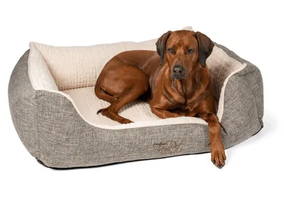 Immagine prodotto di TrendPet VitaBed Classic letto ortopedico per cani beige (120x100x25cm)