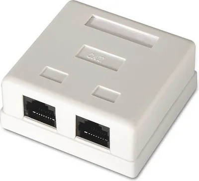 Image de Aisens Surface Mount Rose A139-0302/ Cat.6/ 2 Sockets