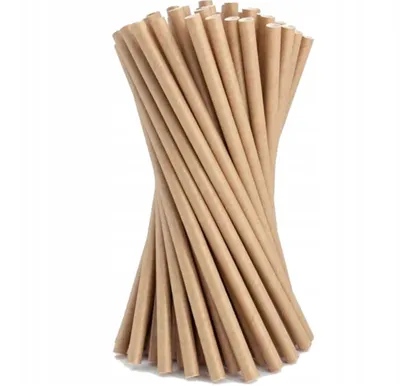 Image de Pailles en pawpaw NATUREL ou pièces détachées DIY 25 pièces