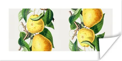 Produktbild von MuchoWow® Poster Birnen - Obst - Lebensmittel 80x40 cm - Wanddeko
