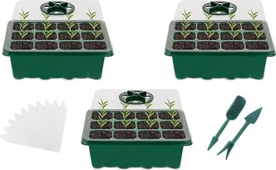 Image de Serre Petite serre d'intérieur Serre d'intérieur Boîte de culture 3 pièces Plateaux de germination avec couvercle Mini-serre de culture Set Plant Starter