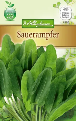 Produktbild von Sauerampfer | Sauerampfersamen von N.L. Chrestensen