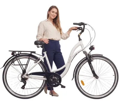 Produktbild von Dallas Bike Fahrrad 28 Zoll - mit Federgabel - Shimano 7-Gang - Aluminium Rahmen L 19" - Weiß-Schwarz