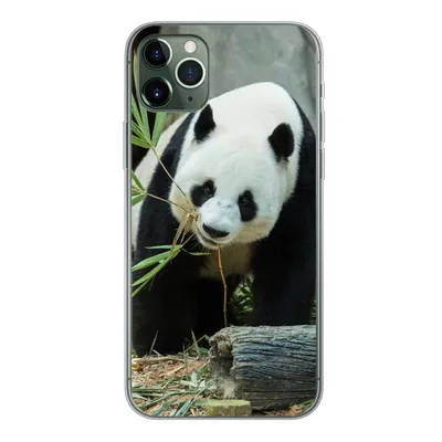 Produktbild von MuchoWow® Handyhülle Schutzhülle Hülle für iPhone 11 Pro Max Panda - Baumstamm - Höhle Silikon Softcase Handy Hülle - Schutz