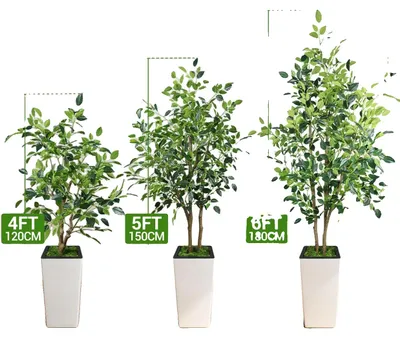 Obrázok produktu pre Umelý figovník, realistický dizajn, nenáročná údržba, zelený, 150 cm
