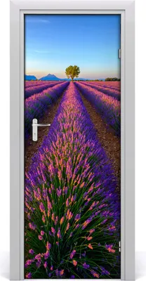 Produktbild von Tulup Türaufkleber 75x205 cm Dekorative Aufkleber Selbstklebend Wasserdichte Tapete Abnehmbar Schlafzimmer Wohnzimmer Wohnkultur - Lavendelfeld