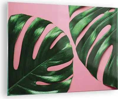 Produktbild von Bilder auf glas - Einteilig - Monstera Blatt Rosa - 70x50cm - Glasbilder - Wandbilder - Bilder - zum Aufhängen bereit - Wanddekoration aus Glas - Glas Bilder - Wandbild auf Glas - GAA70x50-4407