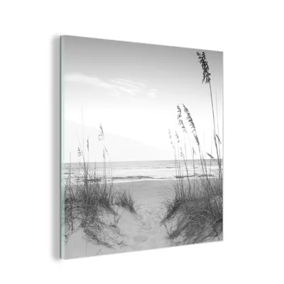 Obrázek produktu pro MuchoWow® Obrazy na skle - Nástěnné obrazy - Fotografie na skle V písku na dunách roste vysoká tráva - černá a bílá 50x50cm Nástěnná dekorace ze skla - akrylová