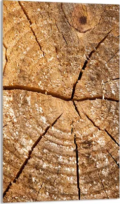 Image de Plaque de recouvrement pour cuisinière 30x52 Vitrocéramiquefeld Couverture anti-éclaboussures Plaque de verre Deko Planche à découper, bois brun