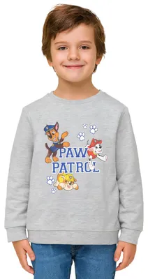 Produktbild von Paw Patrol Pullover für Jungen - Kinder Sweatshirt Oberteil Grau 110-116