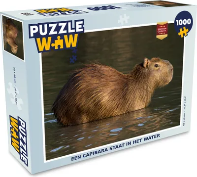 Obrázek produktu pro MuchoWow MuchoWow® Puzzle 1000 ks Kapybara stojí ve vodě