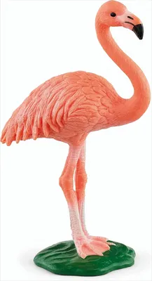 Produktbild von Schleich schleich® Wild Life 14849 Flamingo
