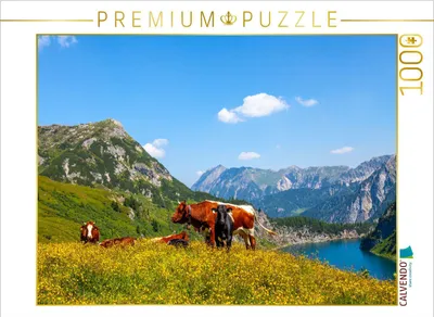 Produktbild von CALVENDO Puzzle Kleinarl | 1000 Teile Lege-Größe 64x48cm Foto-Puzzle für glückliche Stunden