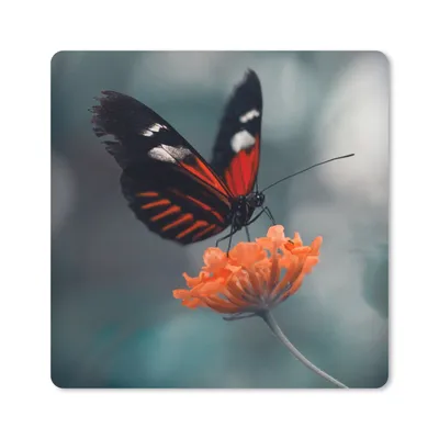 Produktbild von MuchoWow® Mauspad Mousepad Schmetterling - Blume - Insekt 20x20 cm - Mousepads - Maus Mat - Pad - Mausunterlage - Desk Mat - Bureauartikeln