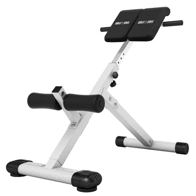 Produktbild von GORILLA SPORTS® Hyperextension Rückentrainer - 5-fach Verstellbar, Klappbar, mit Beinfixierung, bis 120 kg, Weiß - Rückenstrecker, Bauchtrainer, Römischer Stuhl, Fitness, Training, Home Gym