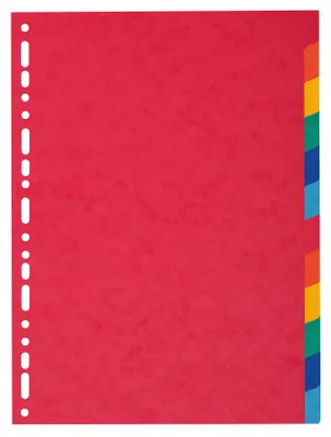 Produktbild von Exacompta 1412E, Multi, Pappe, A4