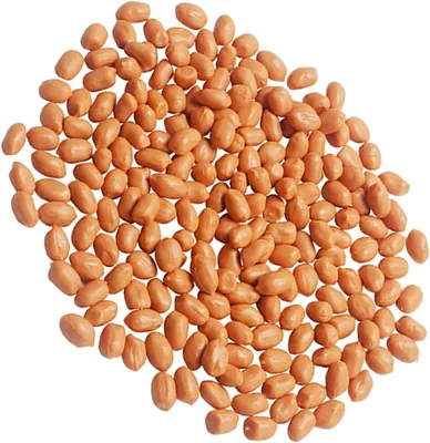 Image de Kunstpinda, réaliste, 200 g, sans allergènes, pour la décoration
