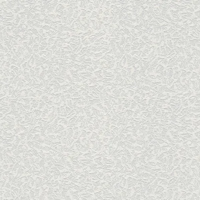 Produktbild von A.S. Création Vliestapete Meistervlies Pro Protect 2, weiss, überstreichbar, 10,05 m x 0,53 m, 643117, 6431-17