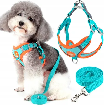 Produktbild von Leichtes Hundegeschirr mit Reflektor, Größe S
