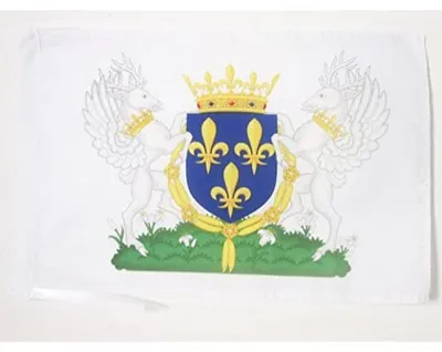 Flagge Wappen Karl VI. Frankreich 45x30 cm Polyester