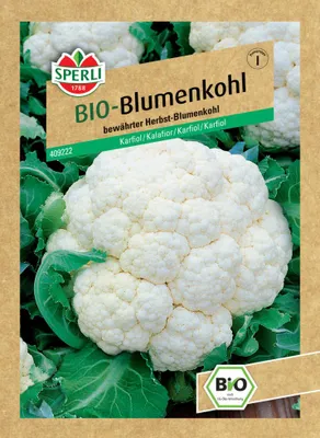 Produktbild von Blumenkohl Sperli Gemüsesamen