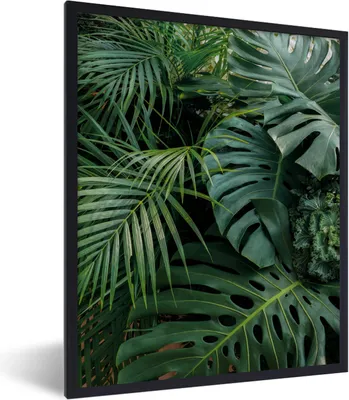 Produktbild von MuchoWow® Gerahmtes Poster Pflanzen - Dschungel - Blätter - Tropisch 60x80 cm - Poster mit Schwarzem Bilderrahmen Wandposter Rahmen Foto Bilder - Premium - Wanddeko Wohnzimmer