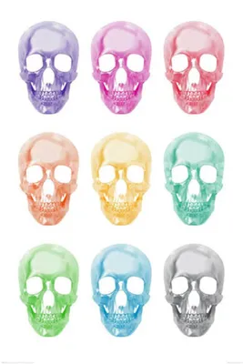 Produktbild von Skulls - Pop Art Totenköpfe Farbig Bunt - Poster Druck - Größe 61x91,5 cm