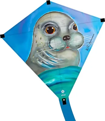 Productafbeelding van Elliot Drachen Eddy Rita Robbe, 75 x 75 cm, glasvezel (Gfk), 4 mm rtf