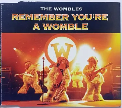 Zdjęcie produktu dla Pamiętaj, że jesteś Womble