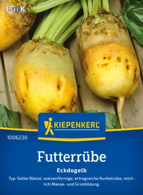 Artikelbild 2 von 'Futterrübe Eckdogelb (15 g)' aus der Kategorie Gründünger & -düngung